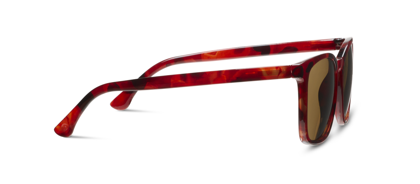Mateo (Sunglasses): Tortoise / No Correction / None