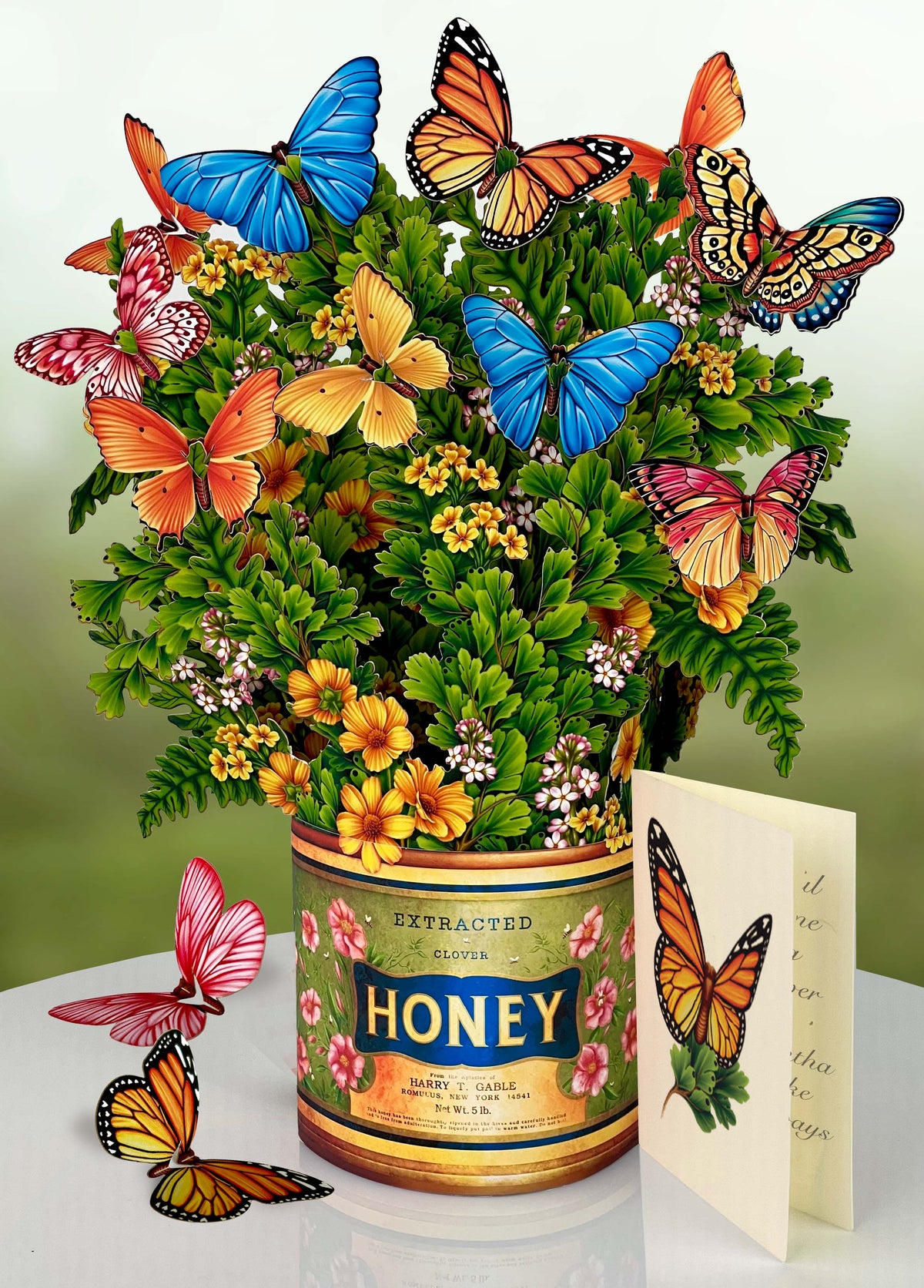 Butterflies & Buttercups