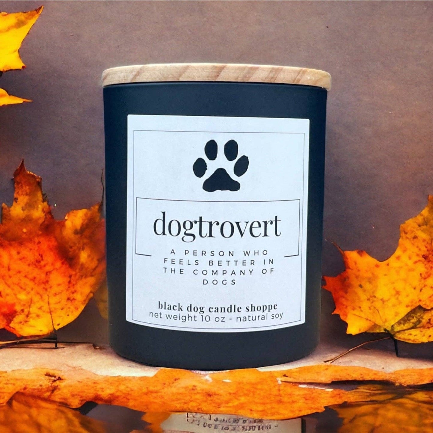 Dogtrovert Dog Lover Candle: Black / Baja Cactus Blossom
