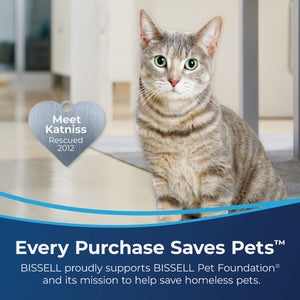 Bissell 48 Oz. Upholstery And Carpet Cleaner