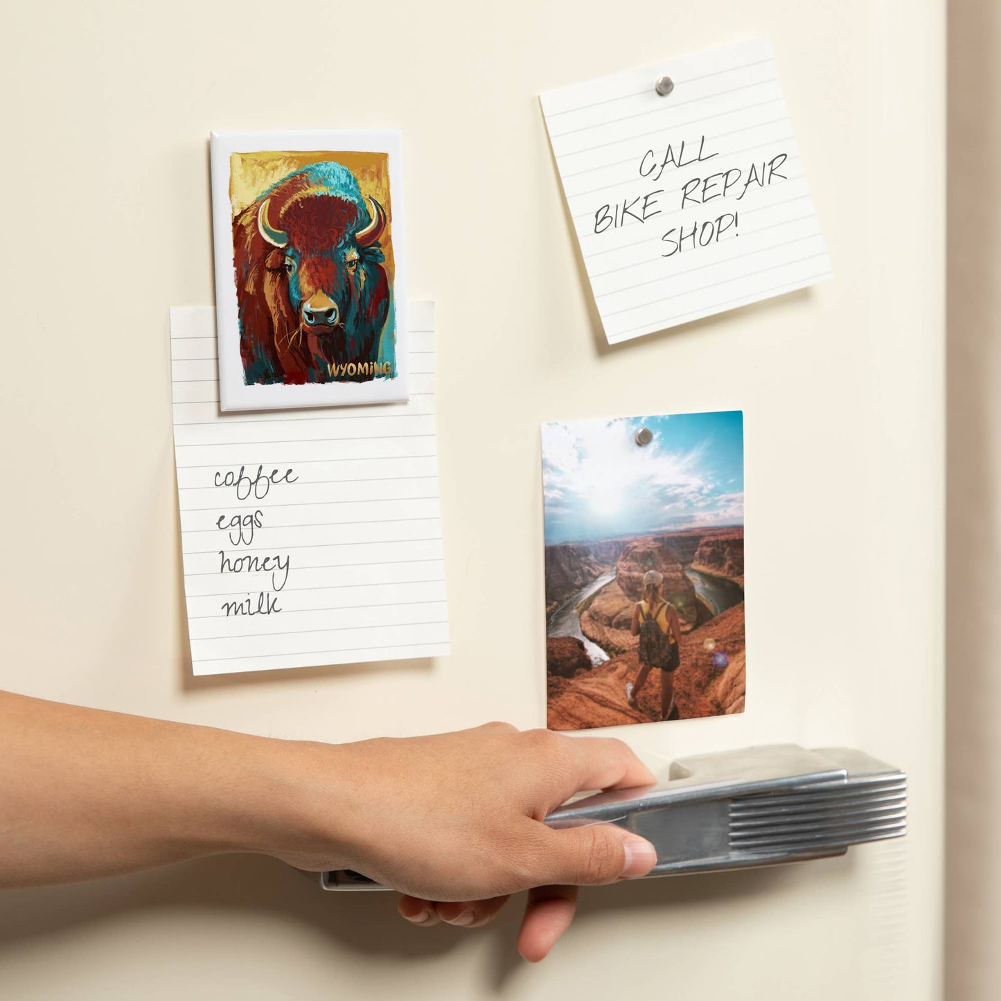 MAGNET Wyoming Bison, Vivid: Magnet