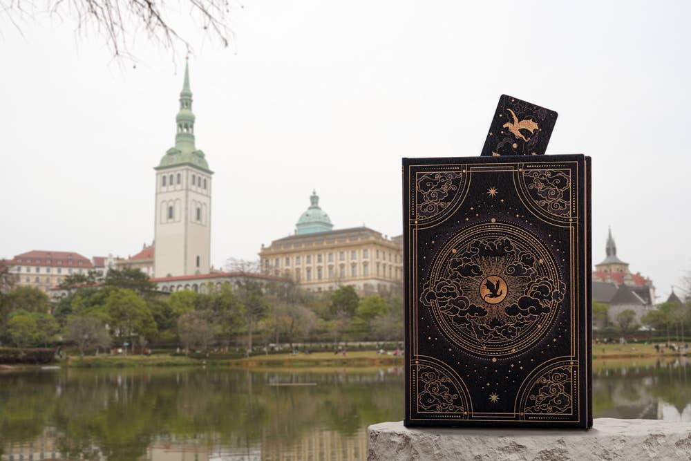 Paperblanks Shadows of Navarre Hardcover (Fourth Wing): Midi / Lined