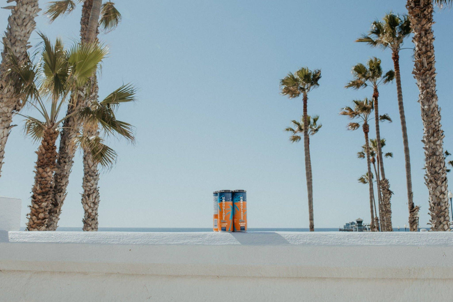 San Diego Ginger Beer - 12oz Slim Cans
