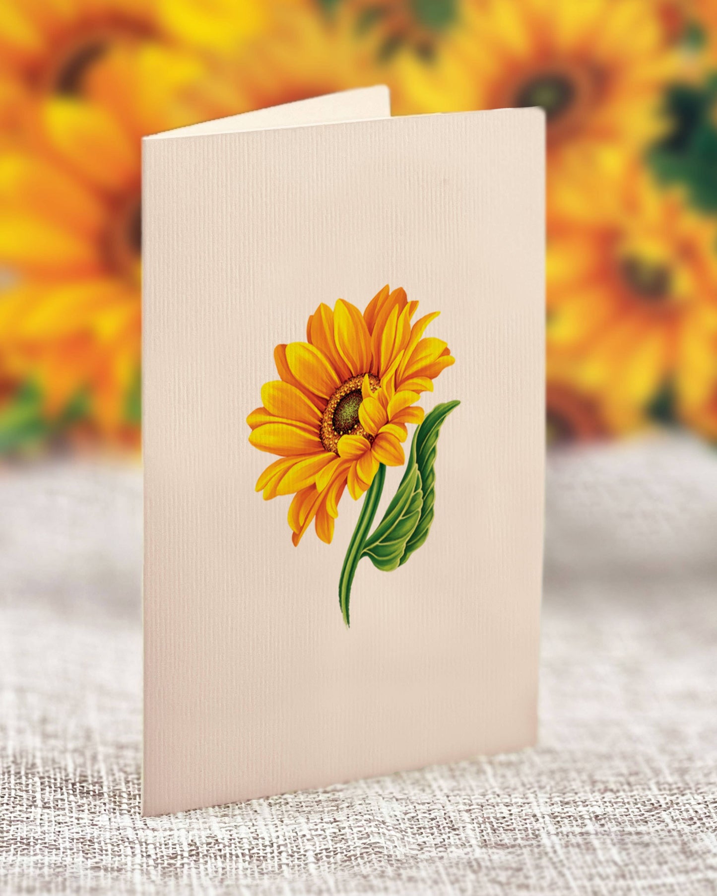 Mini Sunflowers (10 Pop-up Greeting Cards)