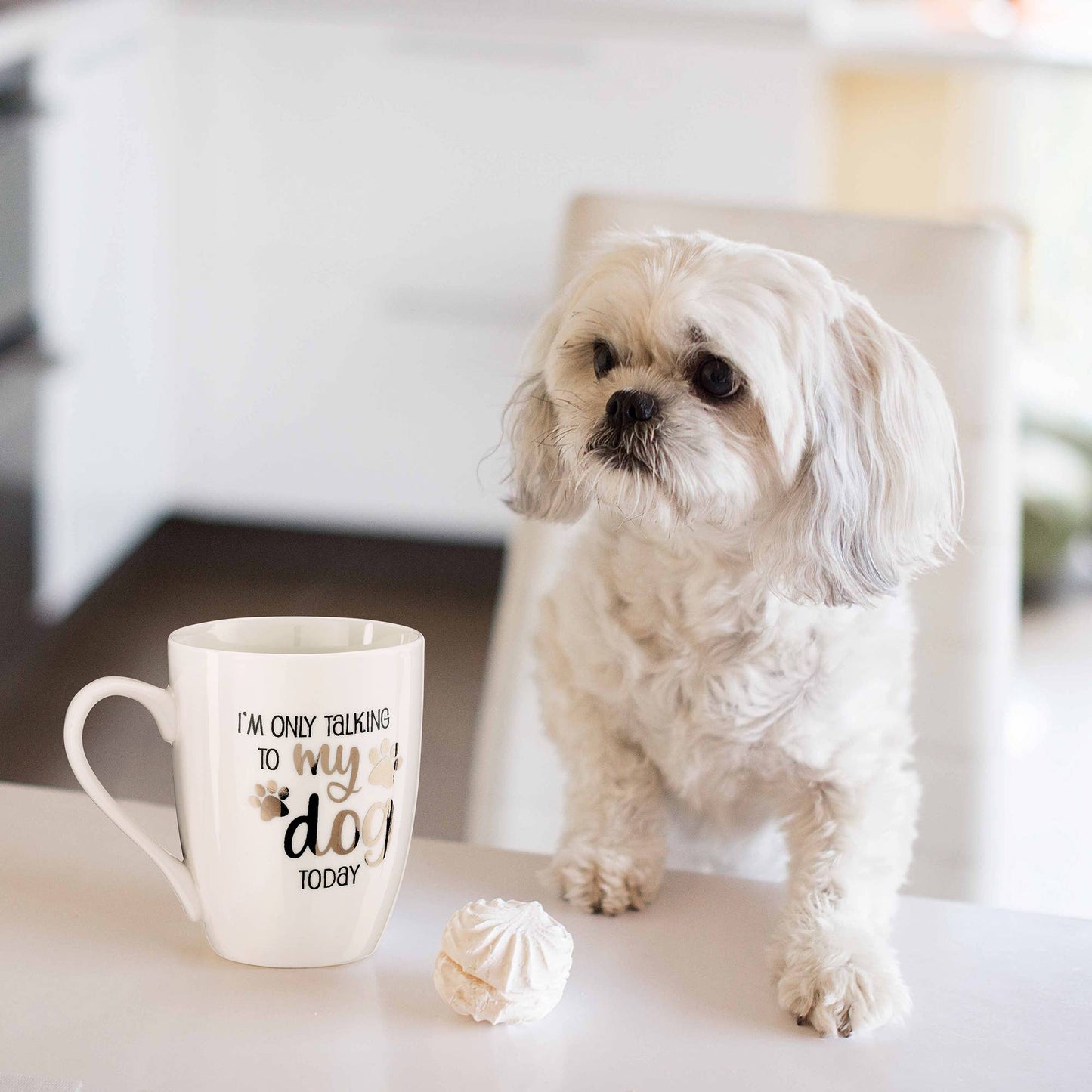 Lillian Rose "I'm Only Talking to My Dog Today" Ceramic Mug