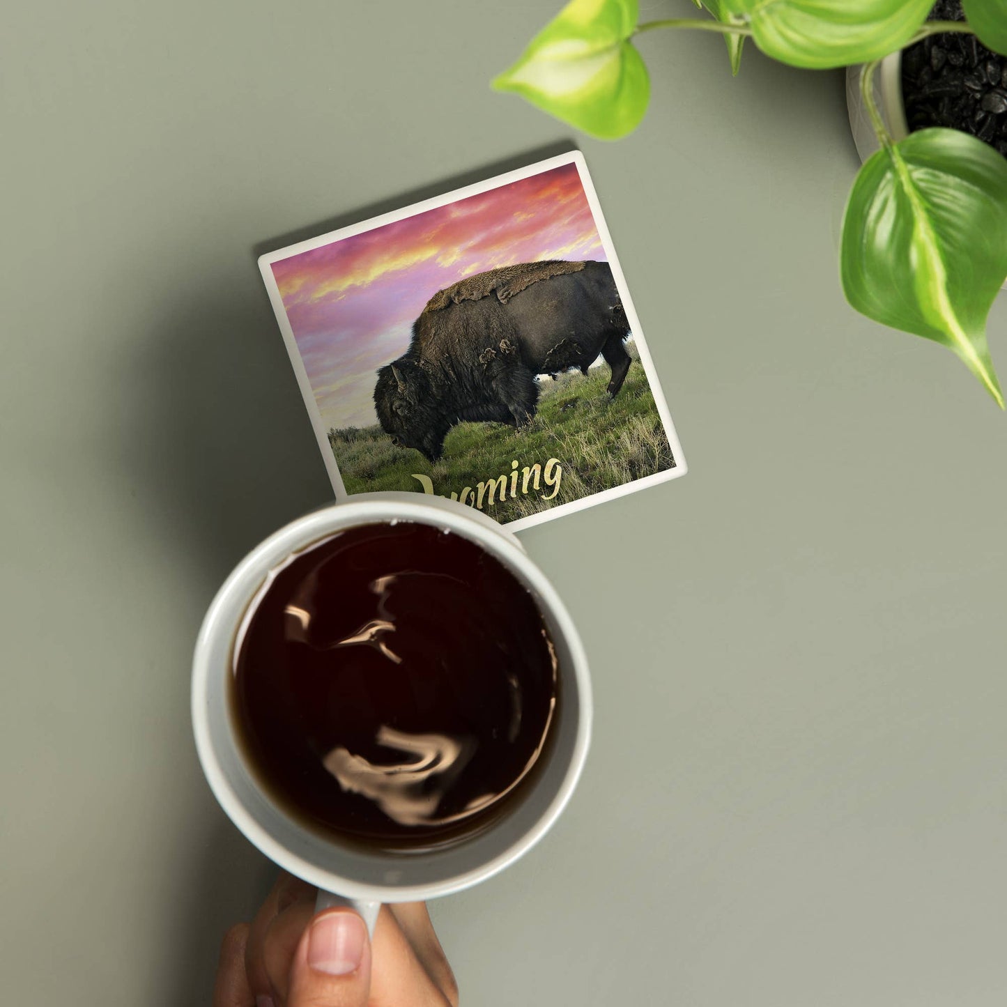 CERAMIC COASTER Wyoming, Buffalo Grazing and Sunset