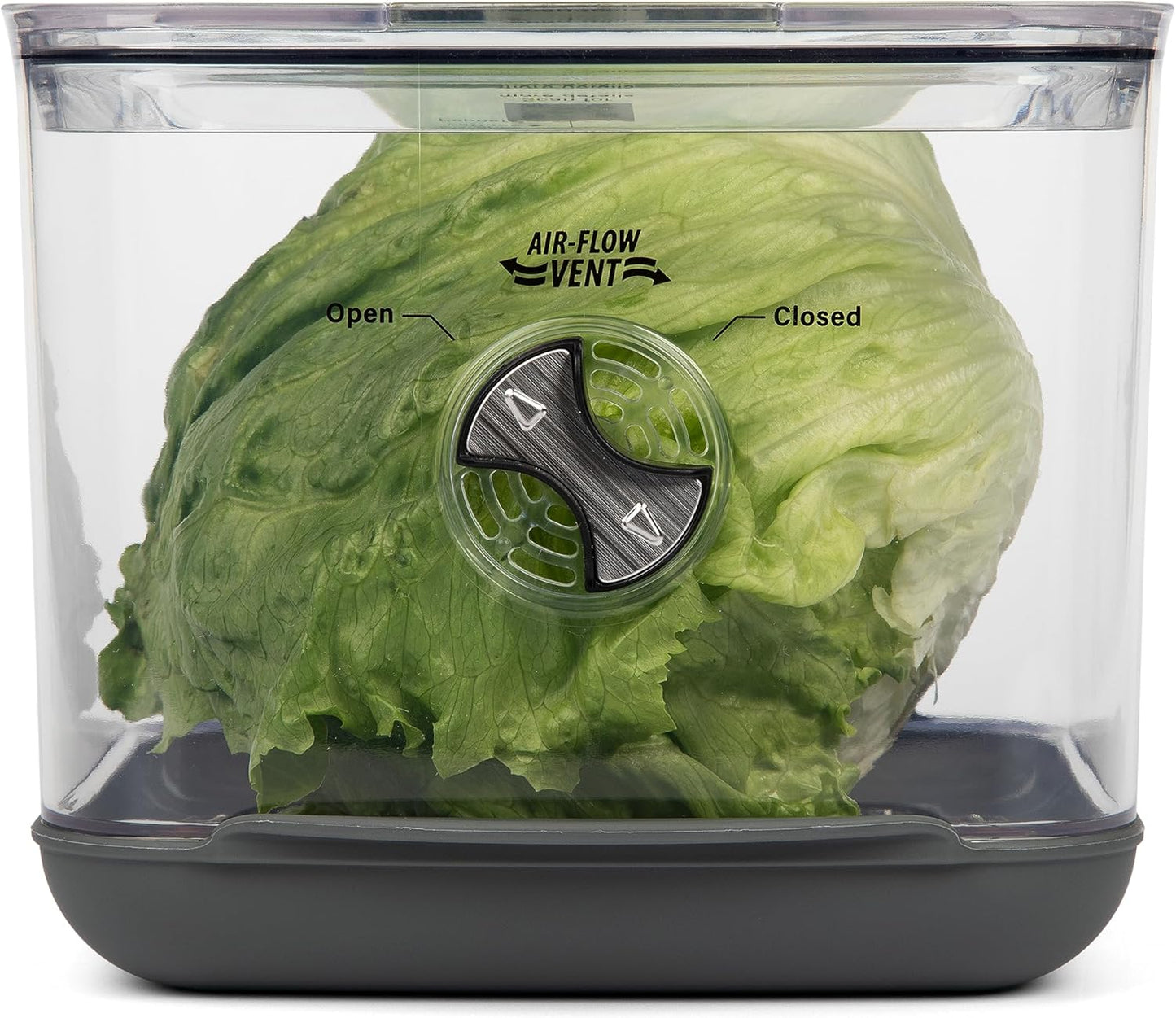 Square Produce ProKeeper+ Container