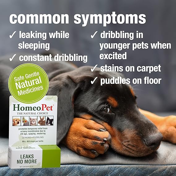HomeoPet Leaks No More