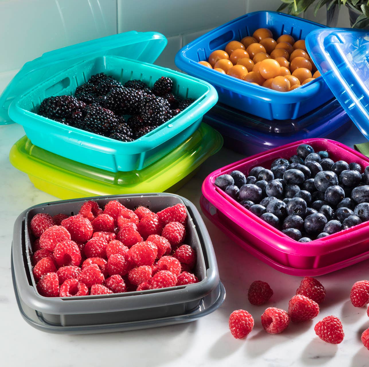 Bitty Berry Box: Counter Display