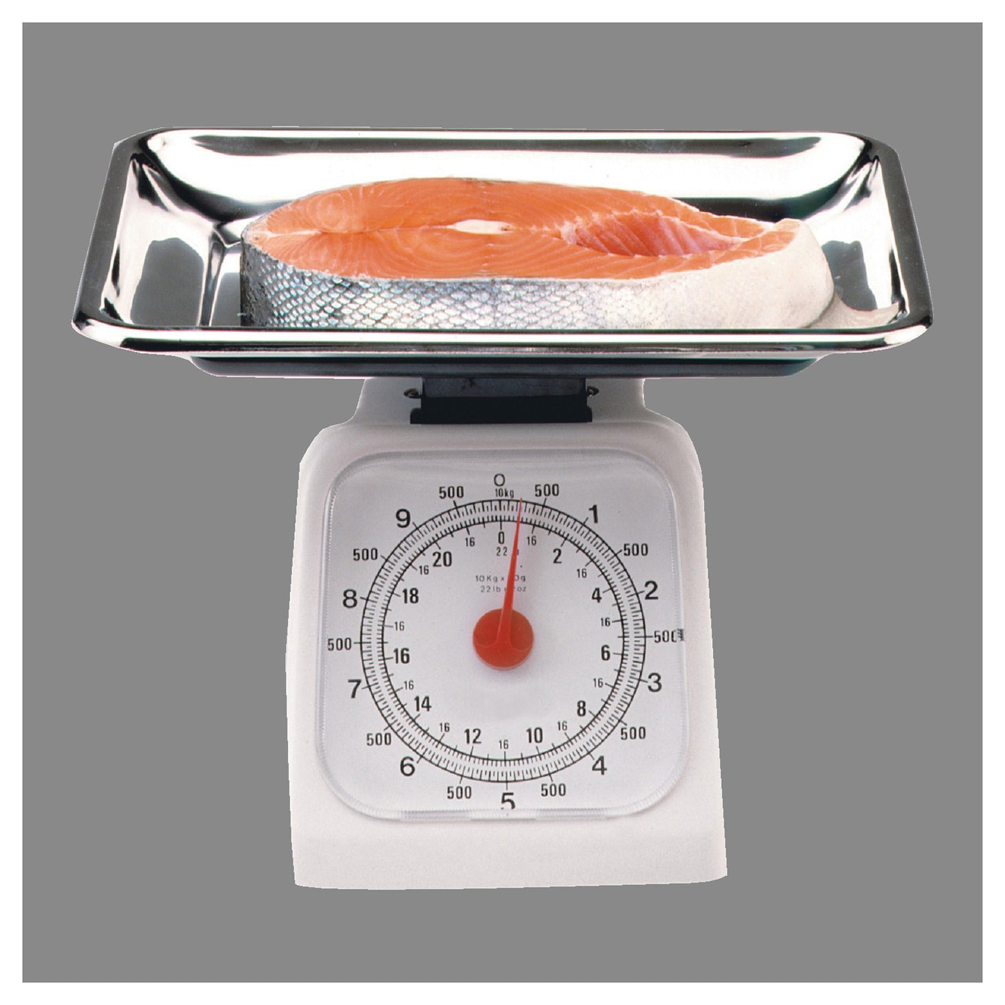 SCALE 22 LB HOUSEHOLD