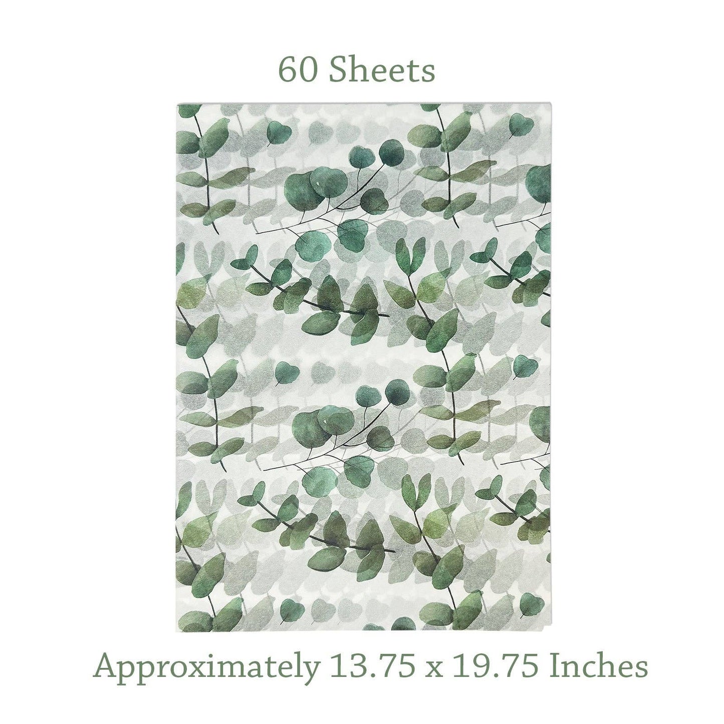 Wrapables 60 Sheets Eucalyptus Tissue Paper 13.75 x 19.75