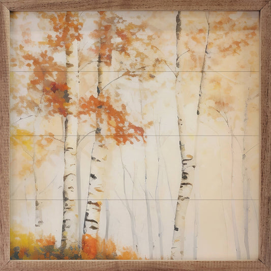 Three Fall Birch Trees In The Forest: 12 x 12