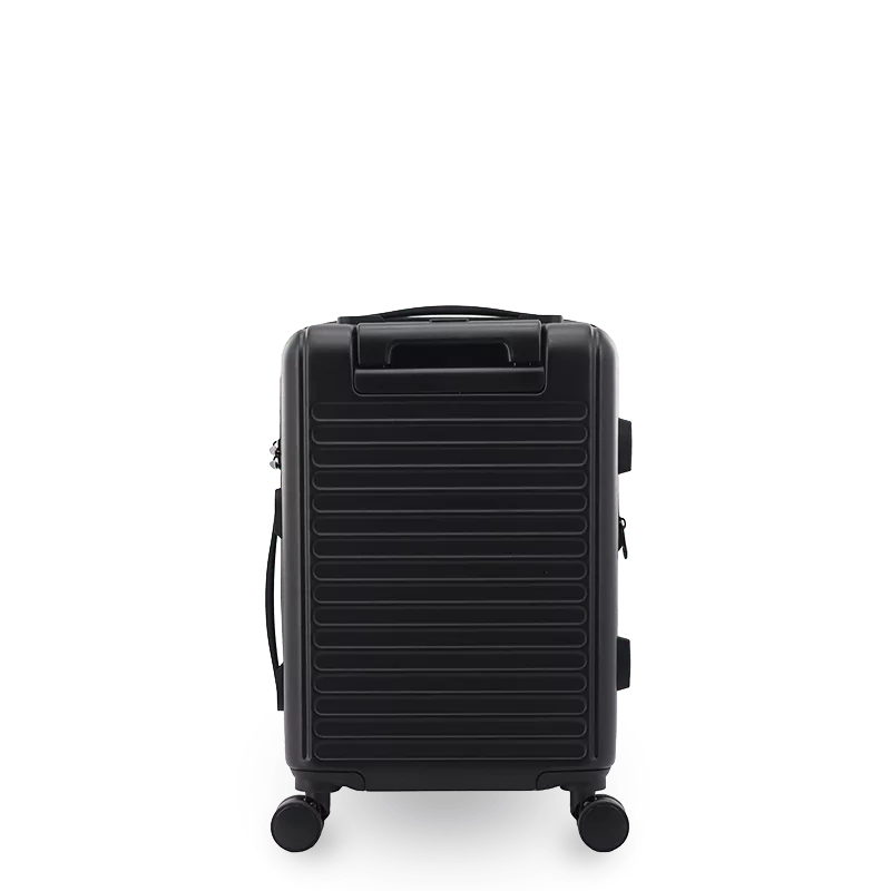 North Hardside Carry-on Luggage 20'': MISTY PURPLE