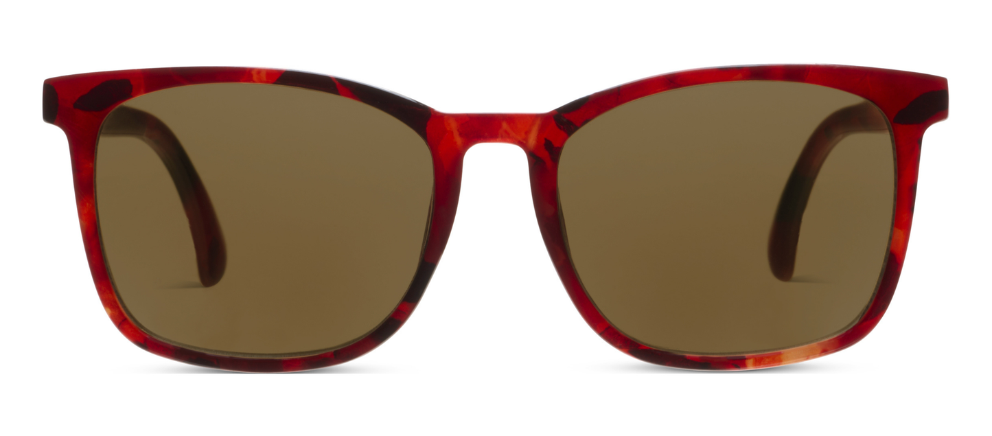 Mateo (Sunglasses): Tortoise / No Correction / None