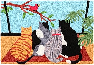 Indoor/ Outdoor Accent Rugs Assorted