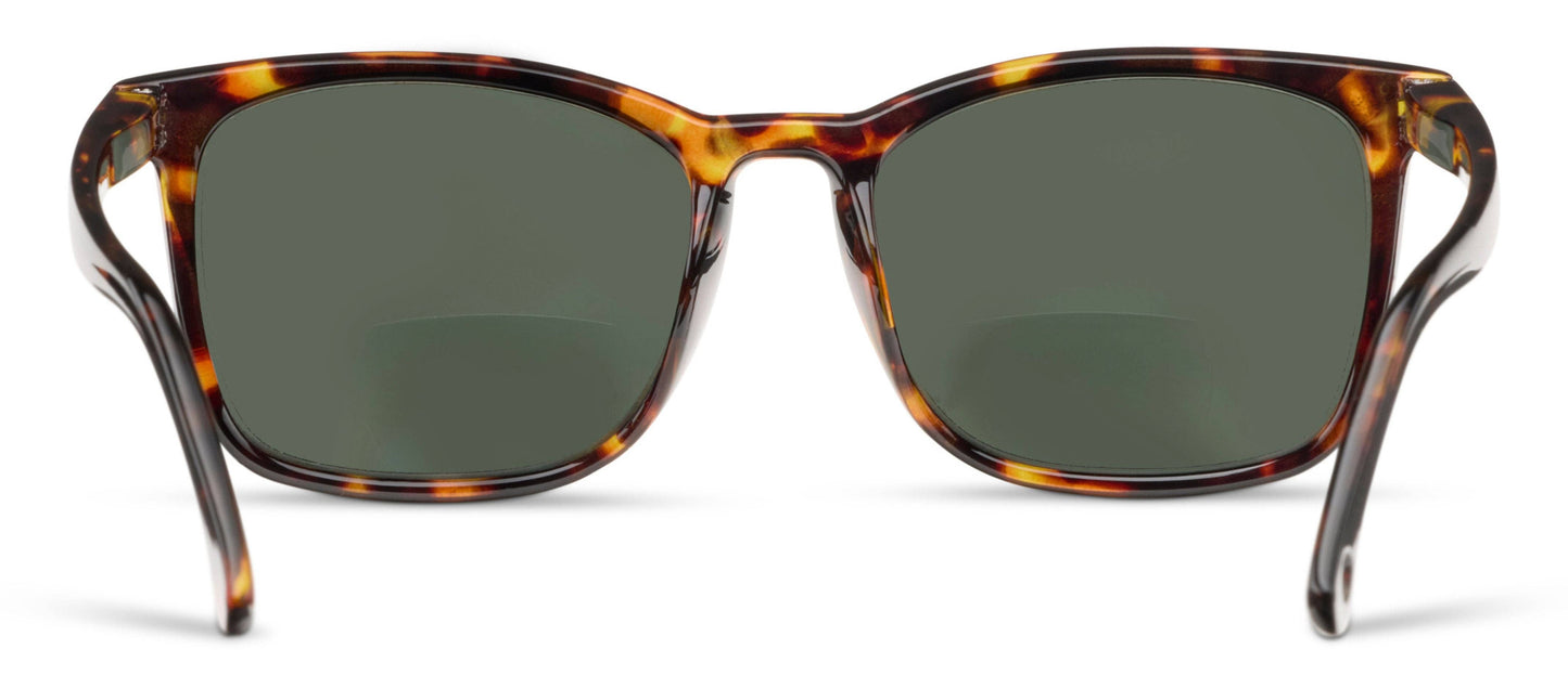 Mateo (Sunglasses): Tortoise / No Correction / None