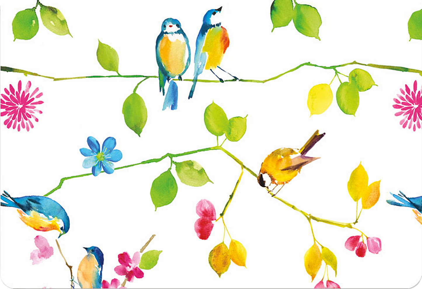 WATERCOLOR BIRDS NOTE CARDS
