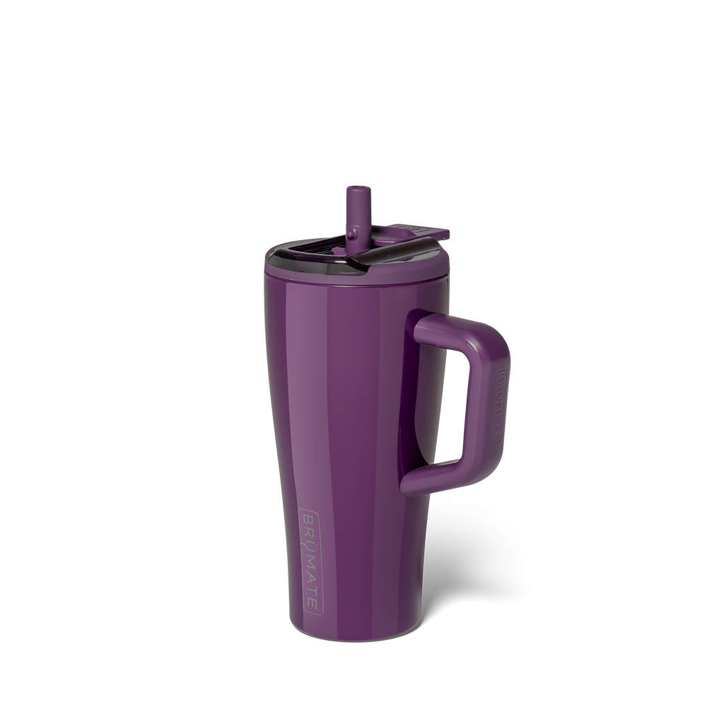 Era Flip 20oz ~ Plum