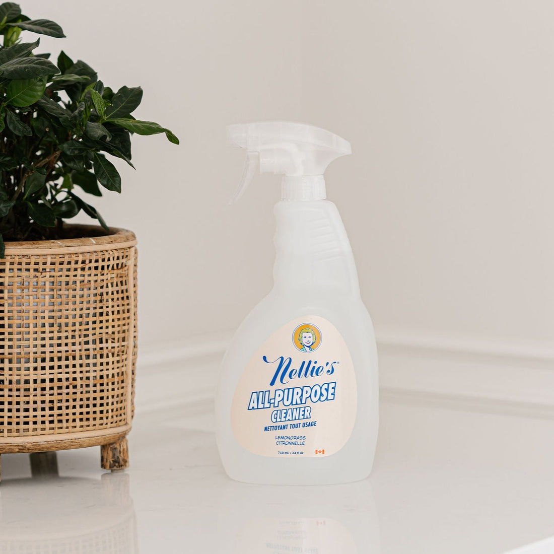 NELLIE'S ALL-PURPOSE CLEANER