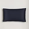 PureCare Queen Size Pure Silk Pillow Case with Mulberry Silk – Delicate and Gentle on Skin and Hair – 20" × 30" – Celestial Blue - Queen, Celestial Blue