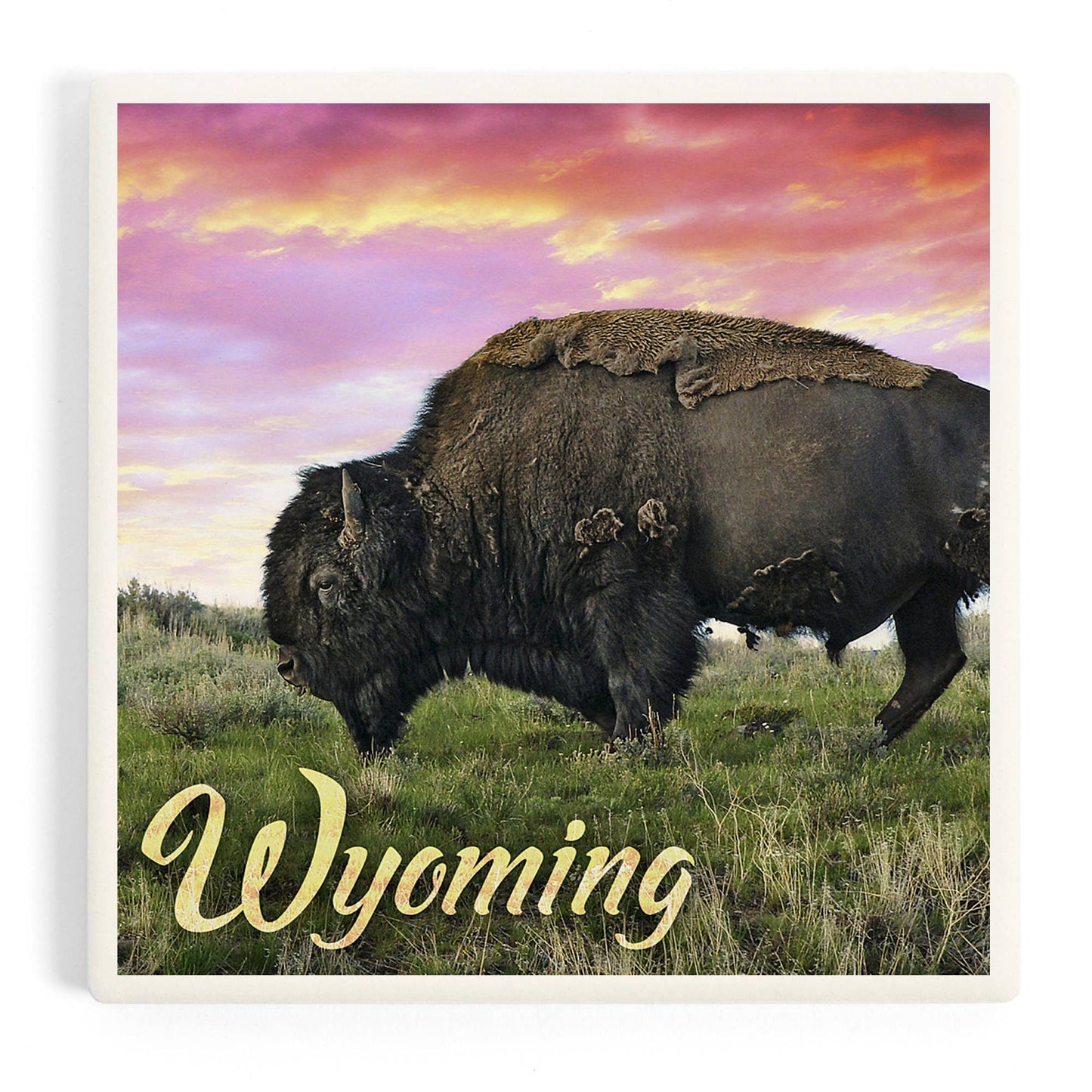 CERAMIC COASTER Wyoming, Buffalo Grazing and Sunset