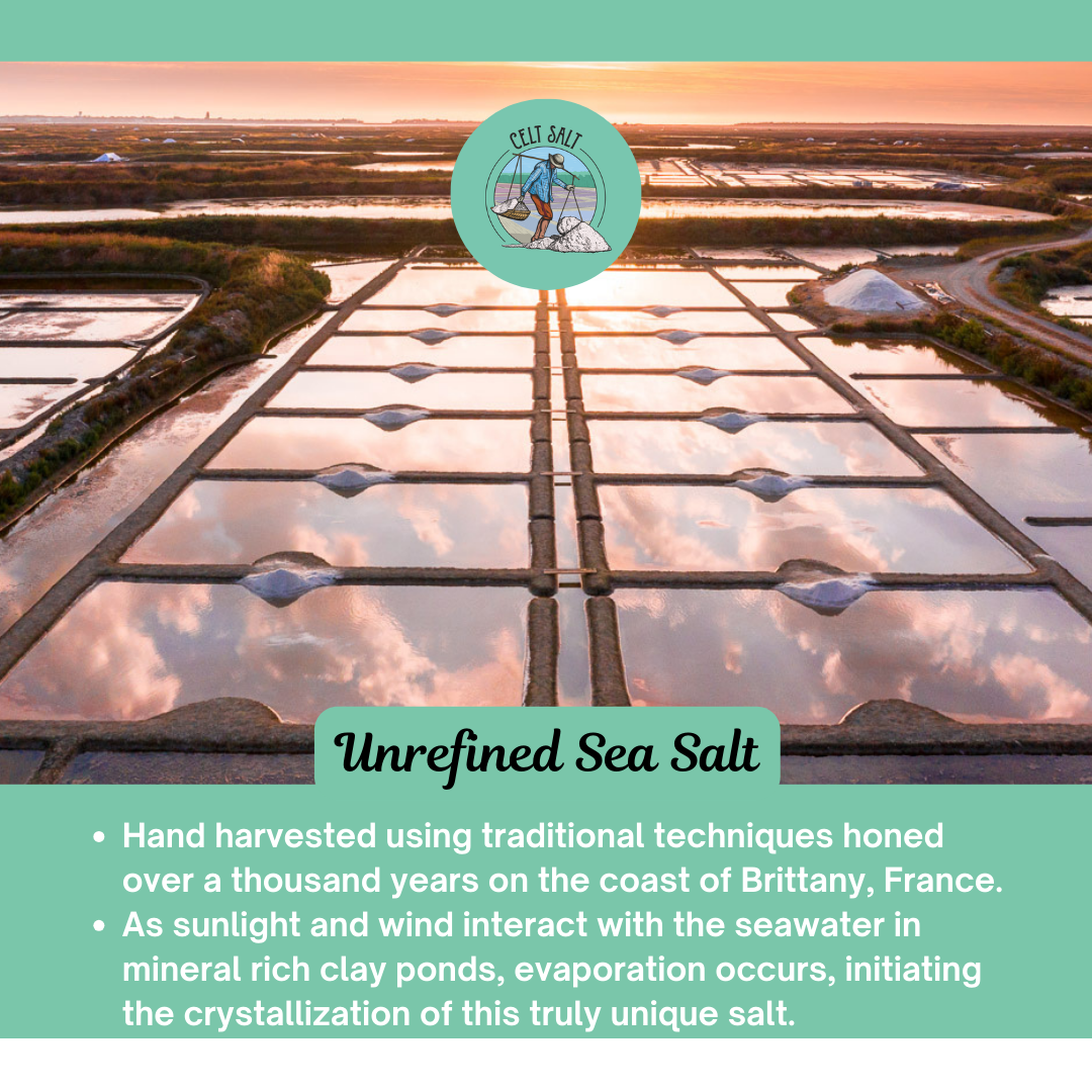 FGSHKR Celtic Sea Salt, 8 oz Shaker of Fine Ground Celt Salt- (1/2 lb)