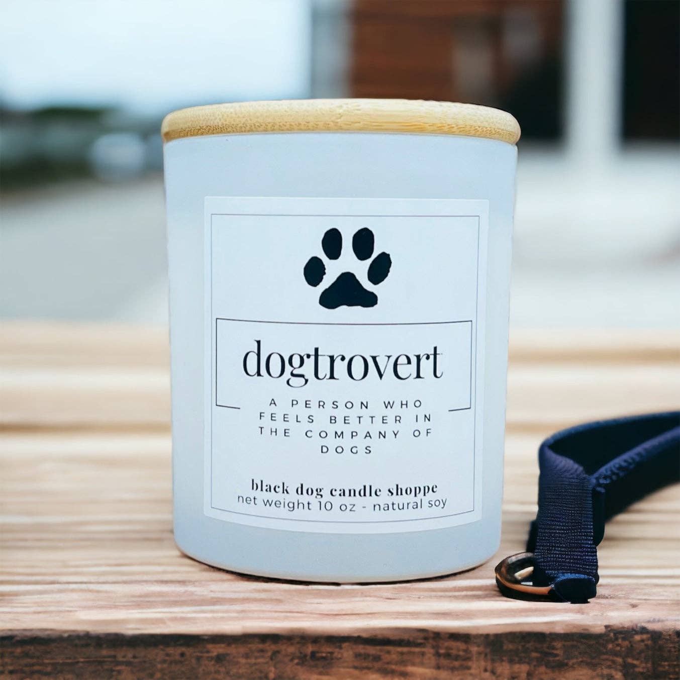 Dogtrovert Dog Lover Candle: Black / Baja Cactus Blossom