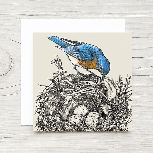 NEST MINI GIFT CARD WITH ENVELOPE