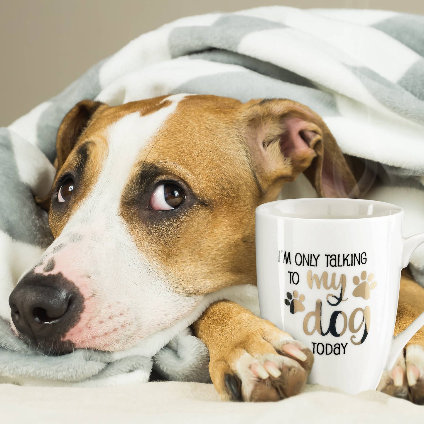 Lillian Rose "I'm Only Talking to My Dog Today" Ceramic Mug