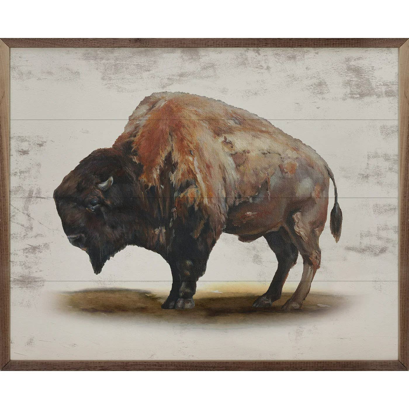 North American Bison: 10 x 8 x 1.5