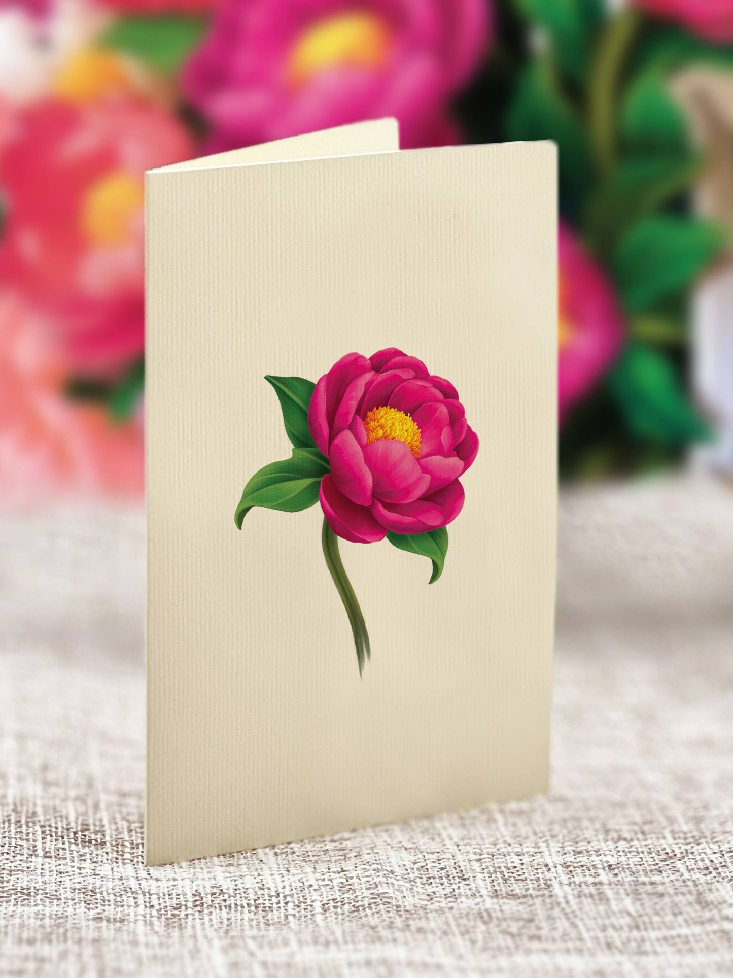 Mini Peony Paradise (10 Pop-up Greeting Cards)