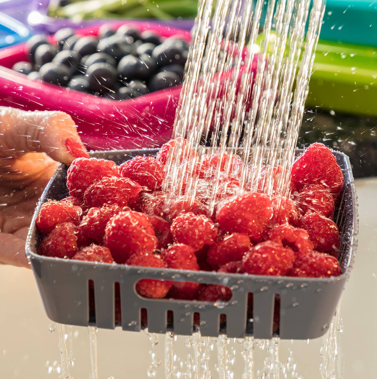Bitty Berry Box: Counter Display
