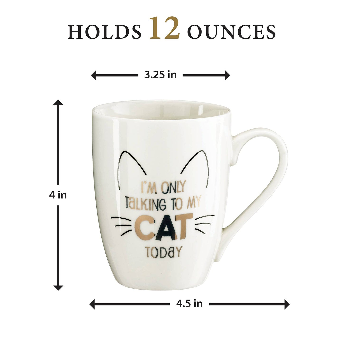 Lillian Rose "I'm Only Talking to My Cat Today" Ceramic Mug