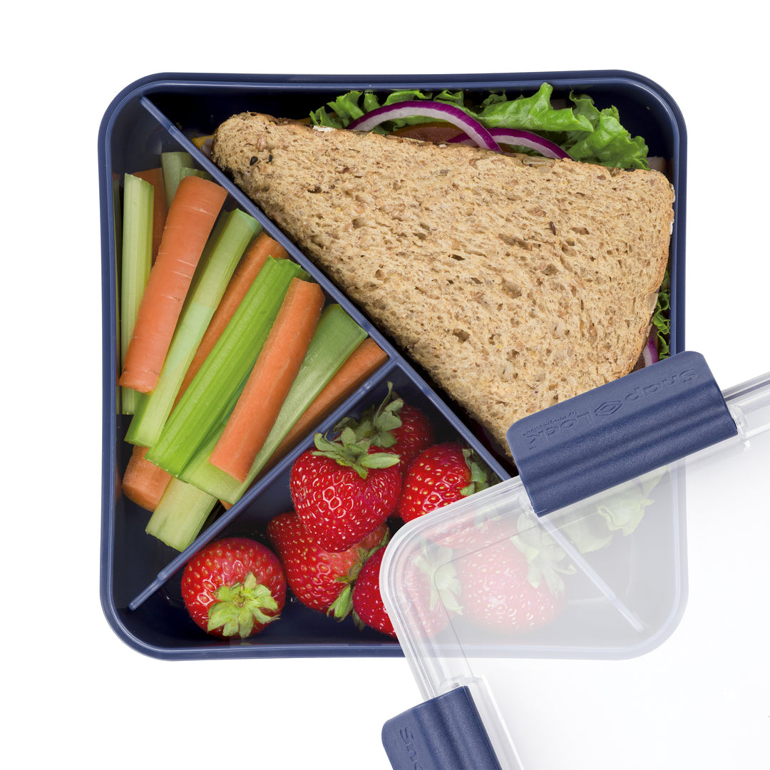 T-VIDER BENTO