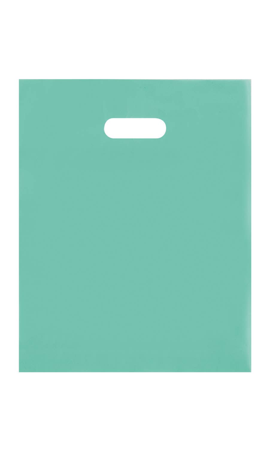 Frosted Retail Merchandise Bags: Clear / Case of 250 / Large