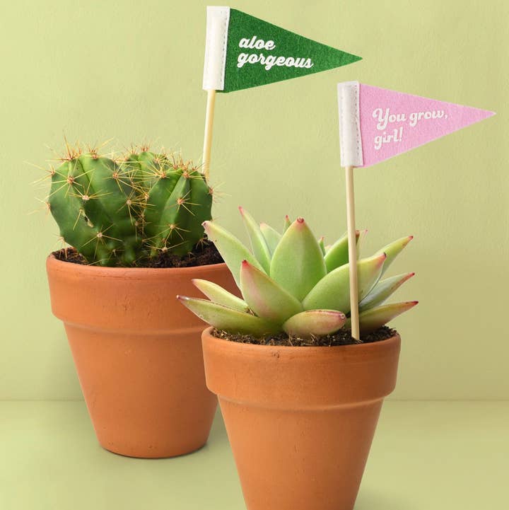 Seed & Sprout Rooting For You Plant Pennants