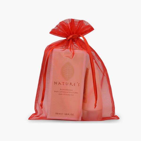 Organza Sheer Bags with Satin Drawsting Ribbon : Ivory / 10 Pack / 4x6"