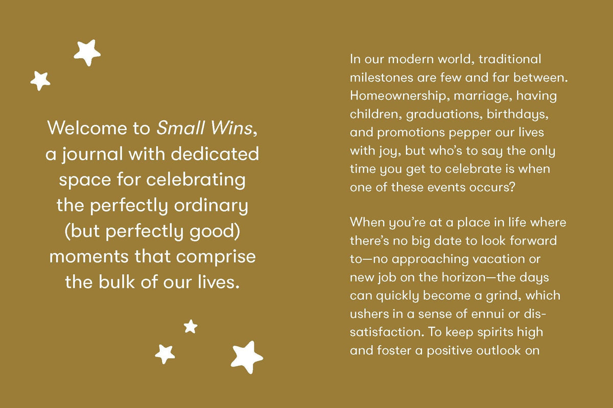 Small Wins