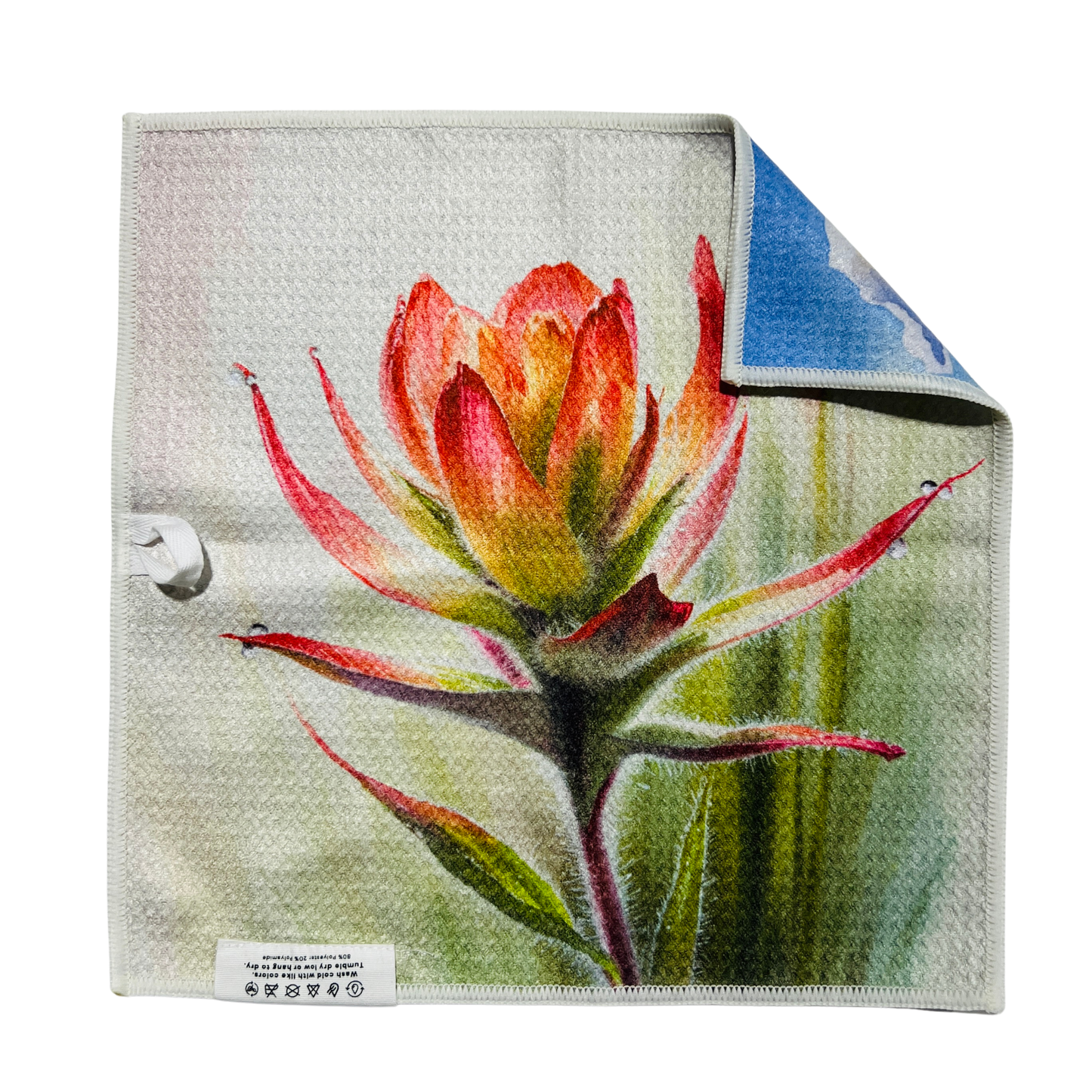 Devil's Paintbrush | Waffle Weave Microfiber Towels Kitchen & Bath: Hand Towel