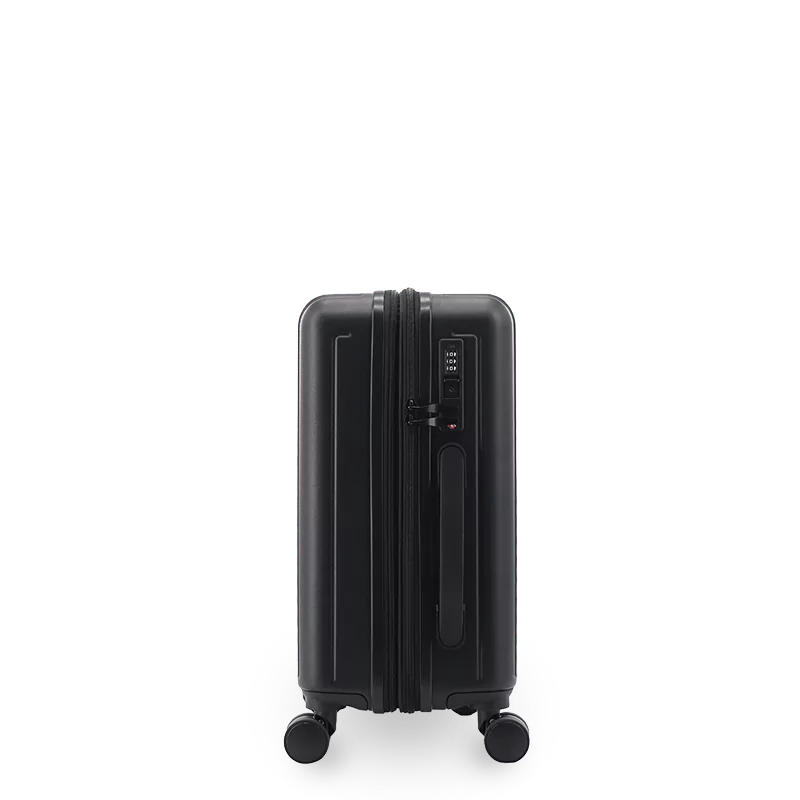 North Hardside Carry-on Luggage 20'': SAGE GREY