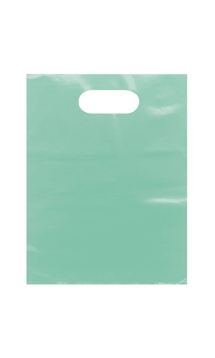Frosted Retail Merchandise Bags: Clear / Case of 250 / Large