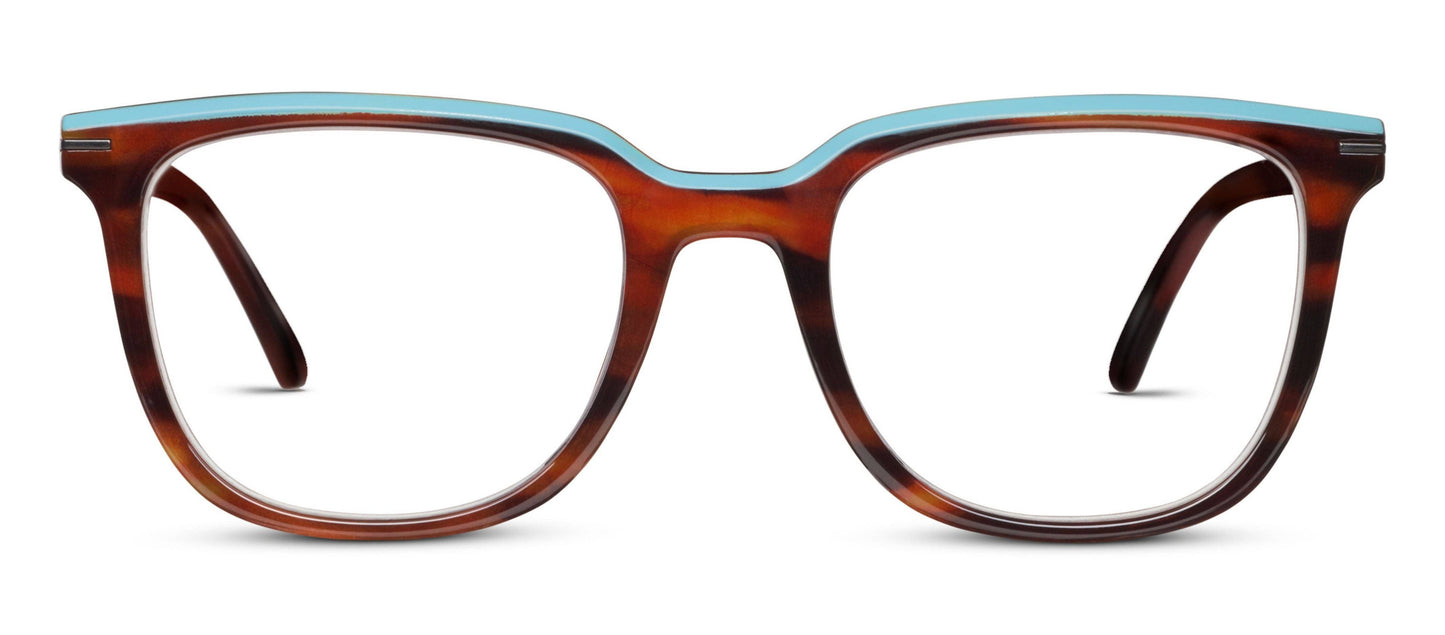 Dante (Blue Light): Tortoise Horn / No Correction / None