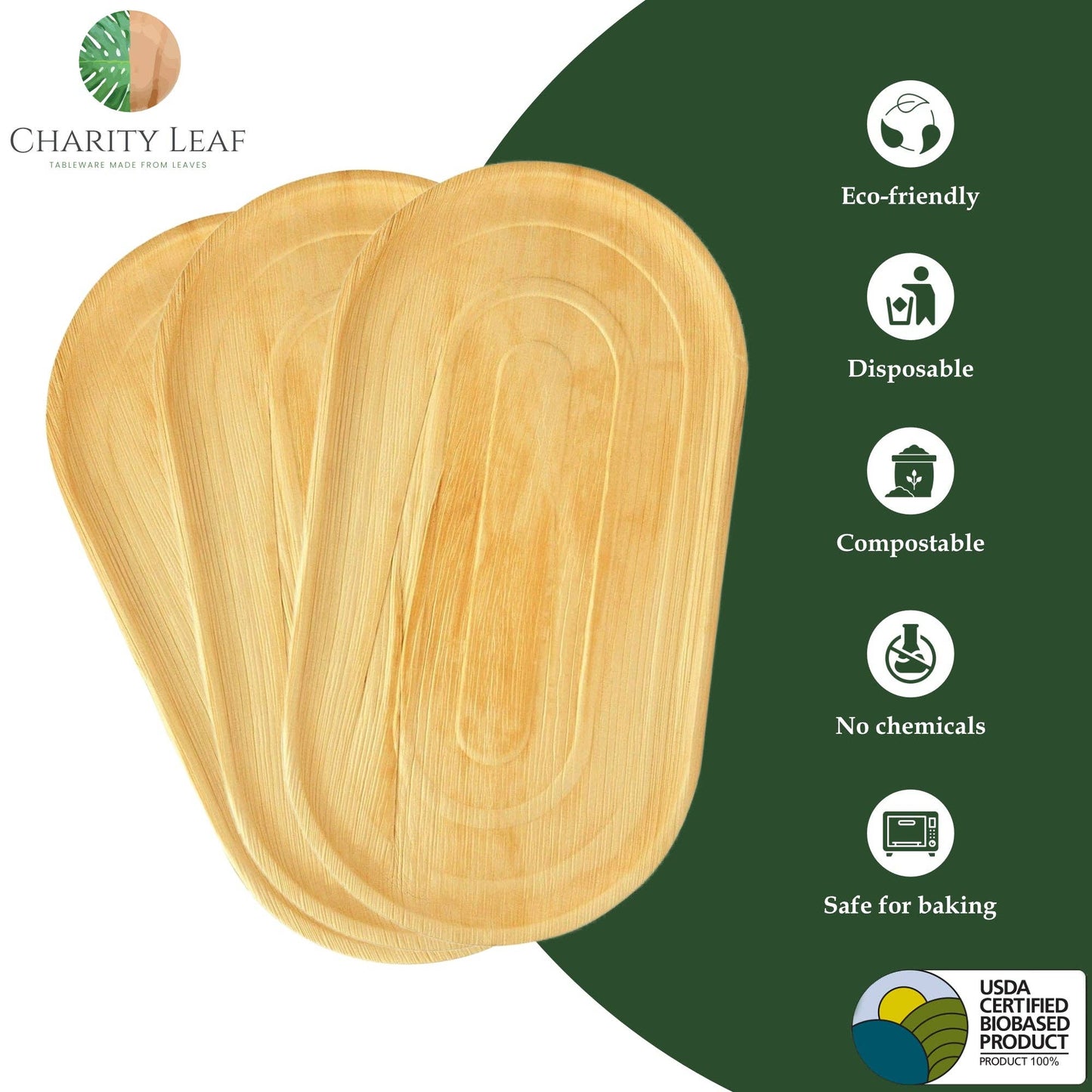 Palm Leaf Large Tray - 22"x12" Inch - Pack of 10 Tray