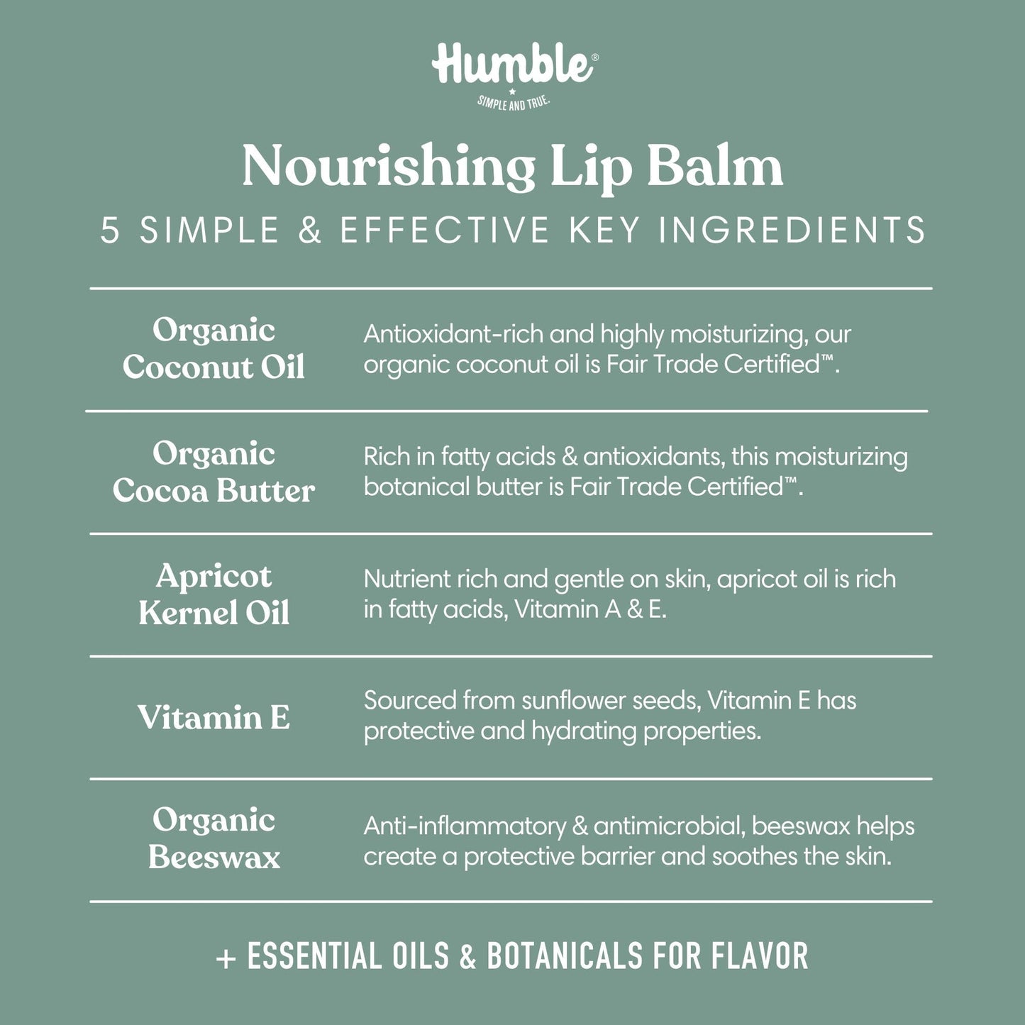 Variety Plastic-Free Lip Balm - Assorted Flavors