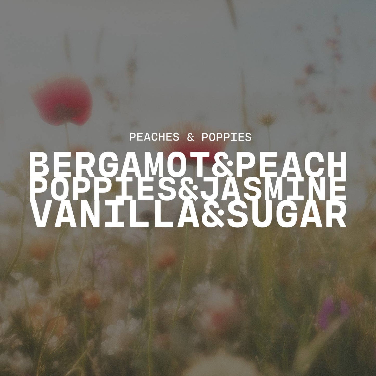 Peaches & Poppies | 7 oz Classic Statement Candle