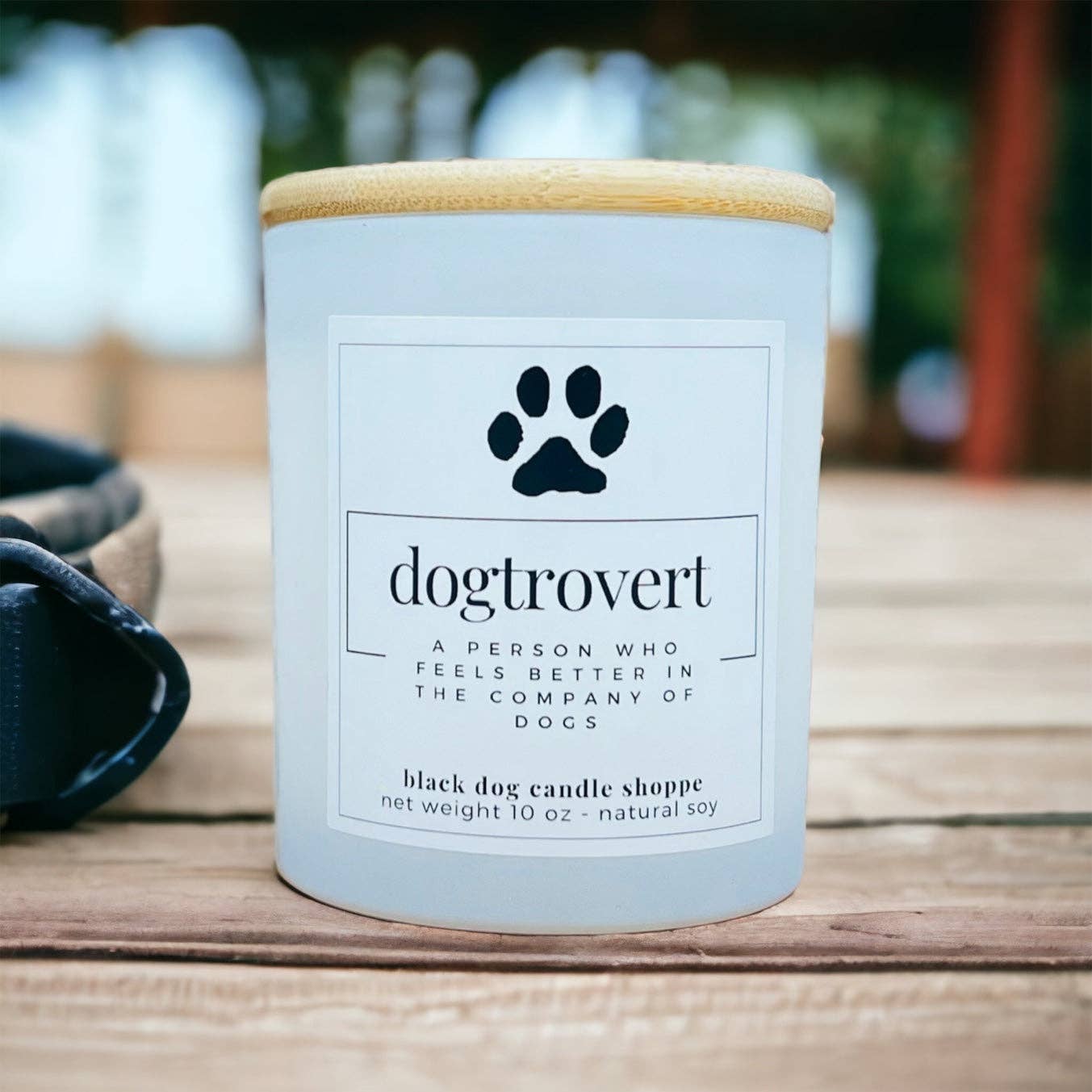 Dogtrovert Dog Lover Candle: Black / Baja Cactus Blossom