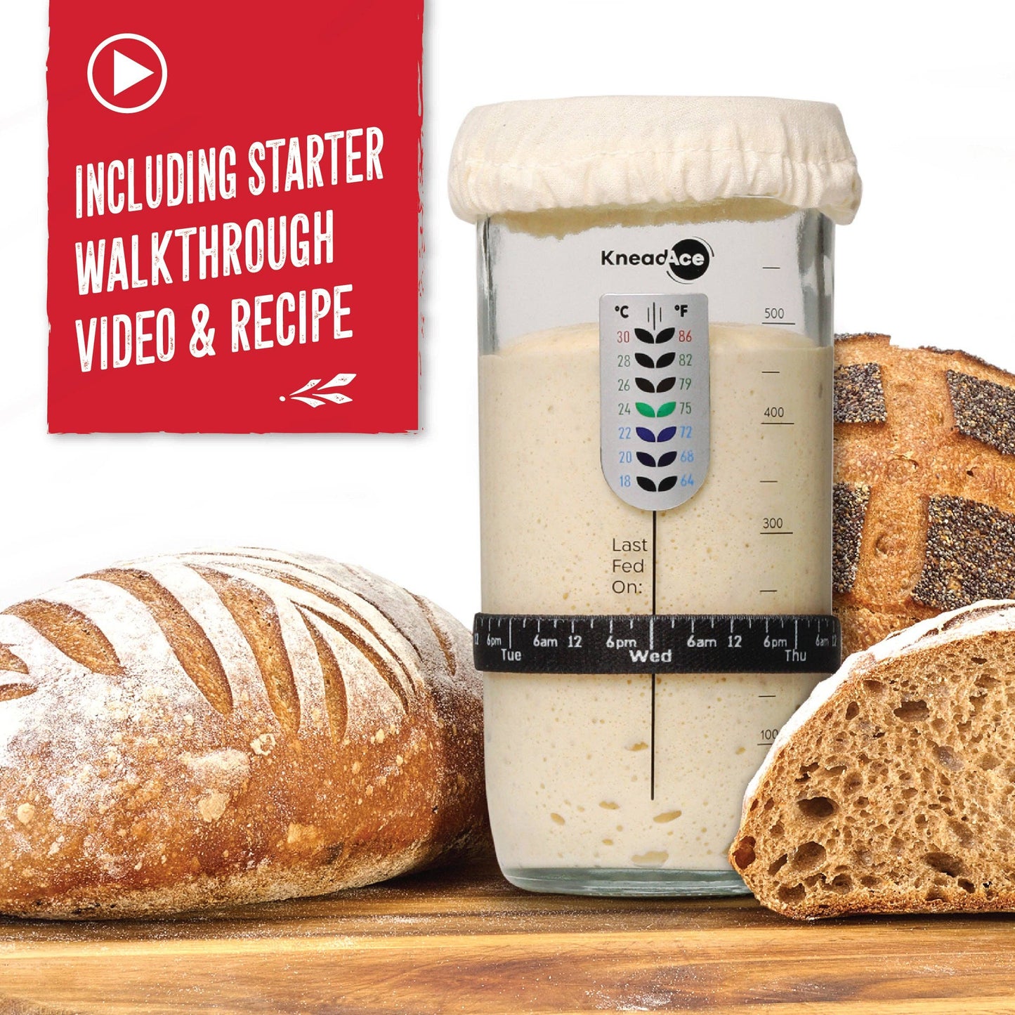 KneadAce® 24oz Sourdough Starter Jar: Single Pack