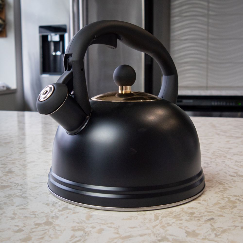 Typhoon Otto 2.5-Liter Stovetop Kettle | Black