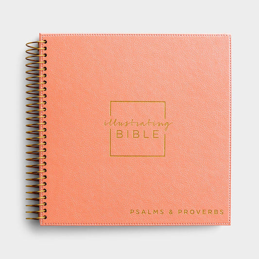 J3405 NIV - Illustrating Bible -Psa and Pro