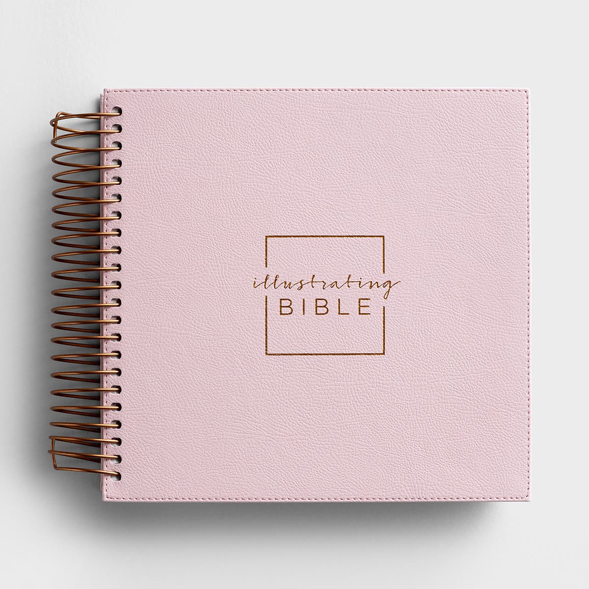 Illustrating Bible - NIV - Pink